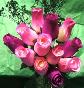 Passion #2 Wood Rose Bouquet