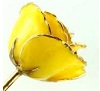 24K Gold Trimmed Yellow Rose