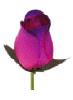 Fushia and Purple Wood Rose Bouquet