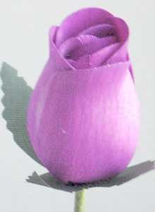 Lilac Wood Rose Bouquet