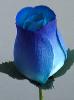 Dark Blue with Blue Wood Rose Bouquet